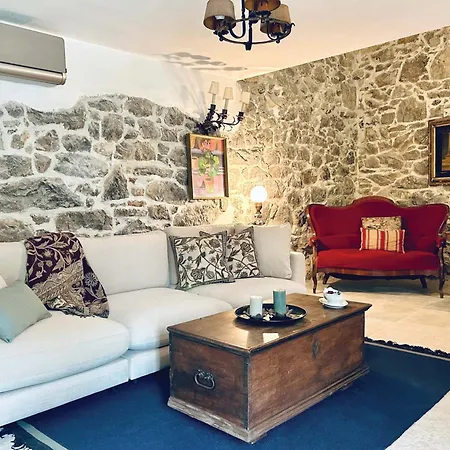 فيلة Olmeto